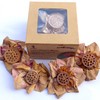 Lotus Flower Tea Bloom Flowering Teas, Dried Whole Blooming Tea
