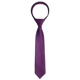 Alizeal Boys Solid Color Pre-tied 2.4'' Zipper Skinny Neckties for Kids, Dark Purple
