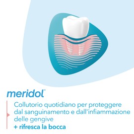 meridol Collutorio Protezione Gengive 400ml I Combatte il sanguinamento e l'infiammazione gengivale* |Protegge dalle recidive*| Effetto antibatterico*| Non macchia I 0% Alcohol