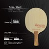 The World Connect Gemstone Table Tennis Racket Bronzite FL Flare