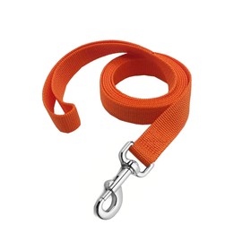 Strong Nylon Dog Leash, 4FT/ 5 FT/ 6FT Dog Leashes for Medium Large Dogs (5FT, Orange)