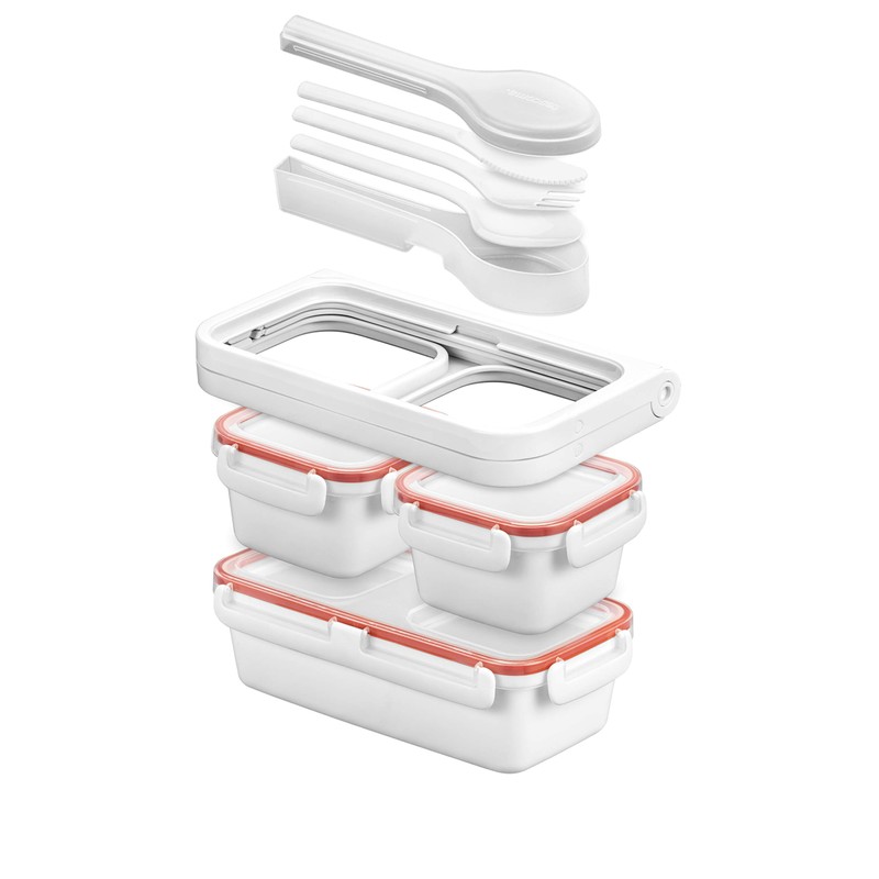 Tescoma Freshbox Lunch Box with Insulated Cooler Bag, Plastic, No