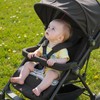 Babepets Car Seat Protector for Potty Training, 2 Pack Waterproof
