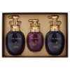 더후 더히스토리오브 더후스파 에센스 샴푸 350ml x 2p + 린스