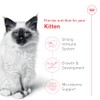Royal Canin Croquetas para Gatos, Kitten, 3.17 kg (El empaque