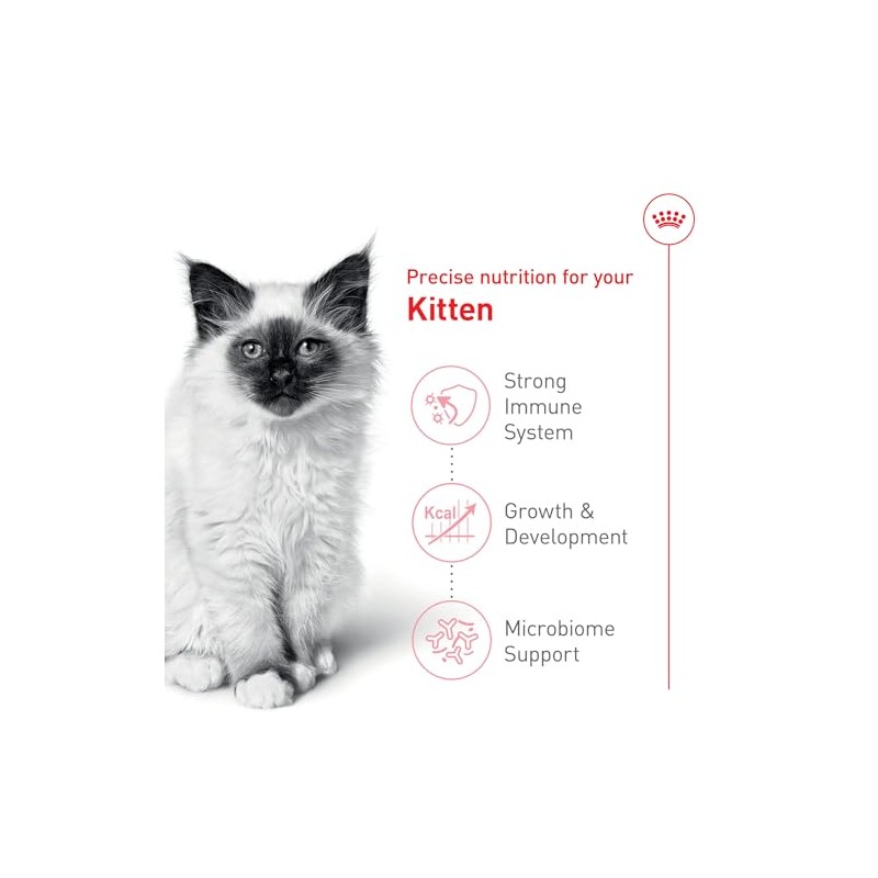 Royal Canin Croquetas para Gatos, Kitten, 3.17 kg (El empaque