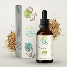 HerbEra Blue Cohosh Alcohol-FREE Tincture, (Caulophyllum Thalictroides) - 2 fl oz