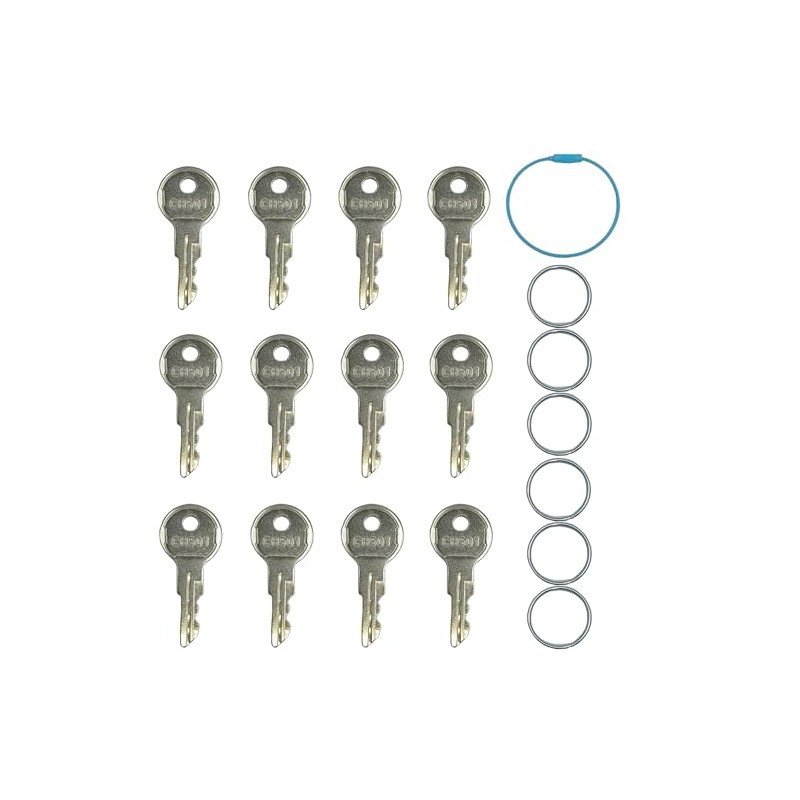 12PCS CH501 Ignition Keys,Toolbox Keys Replacement for from CH501 Truck