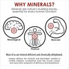 NEW Ionique Mineral Supplement for Water - Magnesium, Trace Mineral