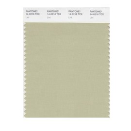 PANTONE Smart 14-0216X Color Swatch Card, Lint