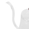 Glass Coffee Pot Swan Neck Thin Mouth Kettle HandMade Coffee