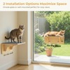 Pecute 2-in-1 Cat Window Perch & Wall Shelves, Cat Hammock