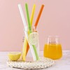 Ohana 1st Disposable Drinking Straws 550 Count for Take Out,
