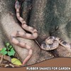 Rubber Snakes Fake Snake Rattlesnake - Realistic Keep Birds Away