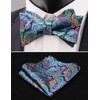 Alizeal Men's Retro Paisley Self-Tie Bow Tie and Handkerchief Set