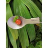 RISON-Titanium Folding Spoon Ultra Light and Premium Quality 2PCS Camping