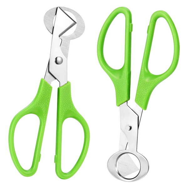 ALTcompluser Quail Egg Scissors Stainless Steel Pack of 2 Quail