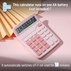 Mr. Pen- Calculator, Pink, Calculators Large Display, Standard Function Calculator,