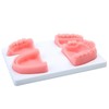 Carrotmiss Oral Suture Training Pad Set with 4 Dental Suture