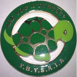 Masonic are You A Turtle Cut-Out Car Emblem