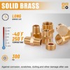 106PCS Brass Pipe Fittings Assortment Kit NPT Extension Adapter,Reducer Bushing,Hex