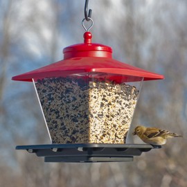 Woodlink NA6228 Audubon Hopper Cafe Wild Bird Feeder