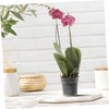 FUNOMOCYA Pack of 10 Nursery Cups Phalaenopsis Flower Pots Trays