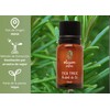 OLEUM VITAE Aceite Esencial de Eucalipto Eucalyptus Globulus 100% Puro