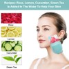 Reusable Cube Silicone Mold Ice Roller With Brush For Face