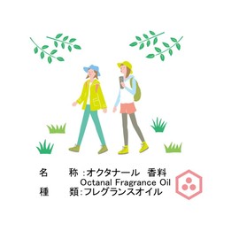 NOTO オクタナールフレグランスオイル 10ml OCTANAL AROMA OIL フレグランスアロマオイル アロマギフト (オクタナール香料 10ml)