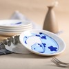 Bicuzat Blue and White Porcelain Vintage Cats Pattern Dessert Plates,