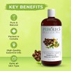 PUROLEO Moringa Oil 16 Fl Oz/473 ML (Packed In Canada)