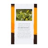 Allegro Tea, Organic Decaf Ginger Peach Black Tea Bags, 20
