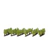 NOCH® Grape Vines 24 Vines Approx. 1.6 cm High for