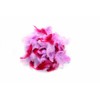 Glorex Decorative Feathers 10 g Assorted Pink