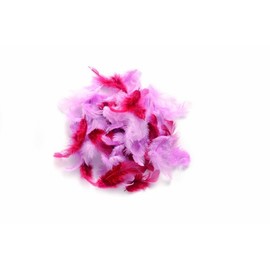 Glorex Decorative Feathers 10 g Assorted Pink