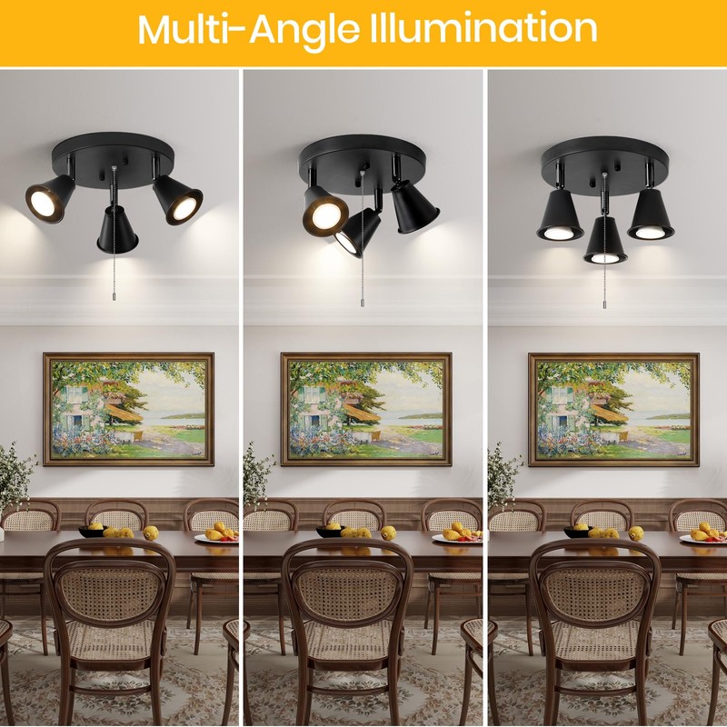 SEEBLEN 3-Light Industrial Directional Track Lighting with Pull Chain On/Off,