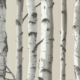 Brewster 2532-20418 Irvin Birch Tree Wallpaper, Grey