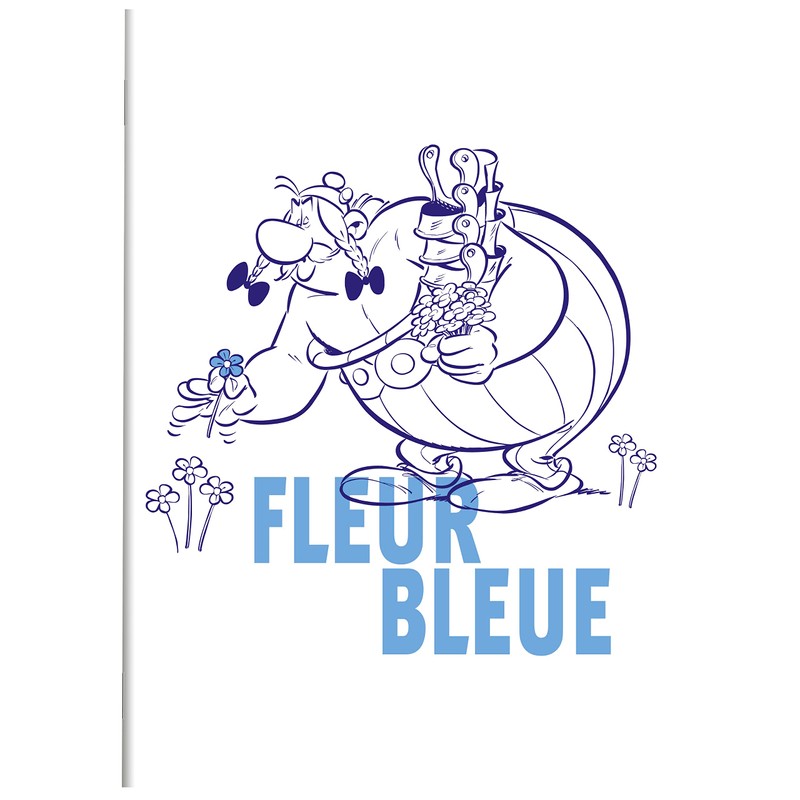 Clairefontaine Asterix 5 813055C Notebook with Hard Cover, Glued, DIN