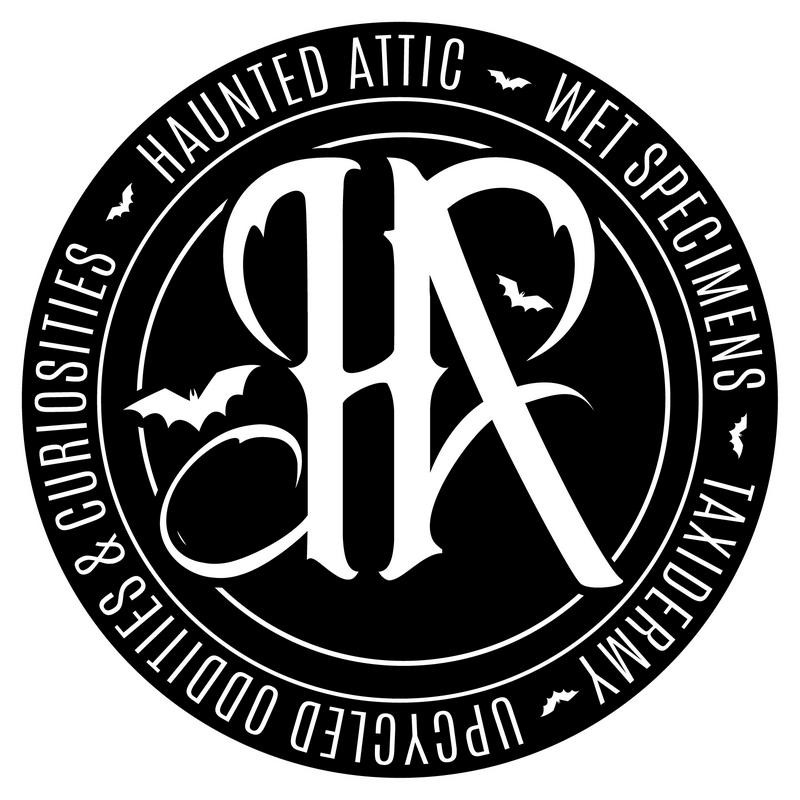 Octopus Tentacle Mini Heart Wet Specimen Apothecary Bottle Curiosity Decor