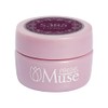 PREGEL Muse PGU-S385 Red Robin Color Gel, 0.1 oz (3