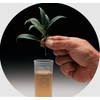 Hydrofarm Dip 'N Grow Liquid Rooting Hormone, 2 Ounce