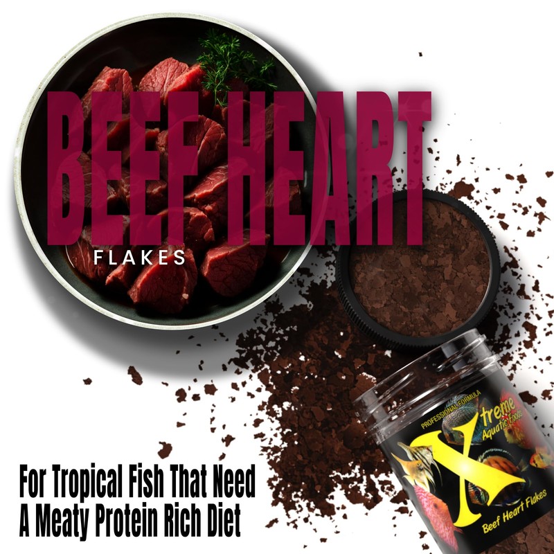 Xtreme Beef Heart Flakes - High Protein, Nutrient-Dense for Tropical