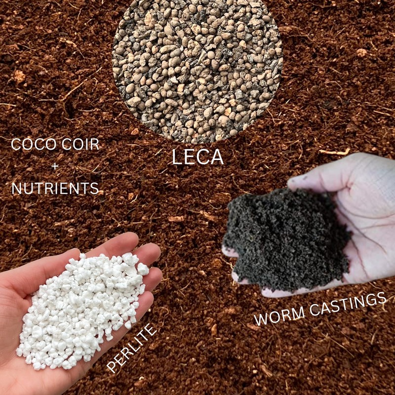Superior Cacti and Succulent Potting Mix - Enriched with Nutrients