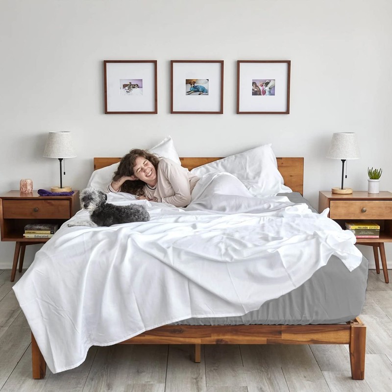 AR Ware Single Fitted Sheet 100% Egyptian Cotton 300 TC,
