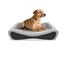 NPET Memory Foam Pet Beds for Small Medium Dogs, Orthopedic Dog Beds with Sides, Cat Bed Mat with Washable Removable Cover, L Size