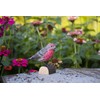 Wildlife Garden - Bird, decorative bird, wooden bird, house bullfinch,