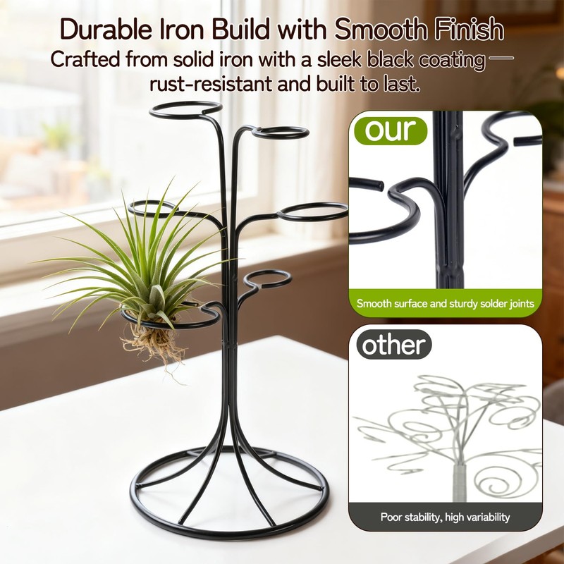Air Plant Holder Iron Tree Stand Metal Air Plant Display