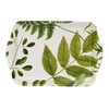 RHS Foliage Scatter Tray
