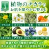 Soft Skin Ceramide Serum, Additive-Free, Sensitive Skin, Seborrheic, Crinky, Human-shaped